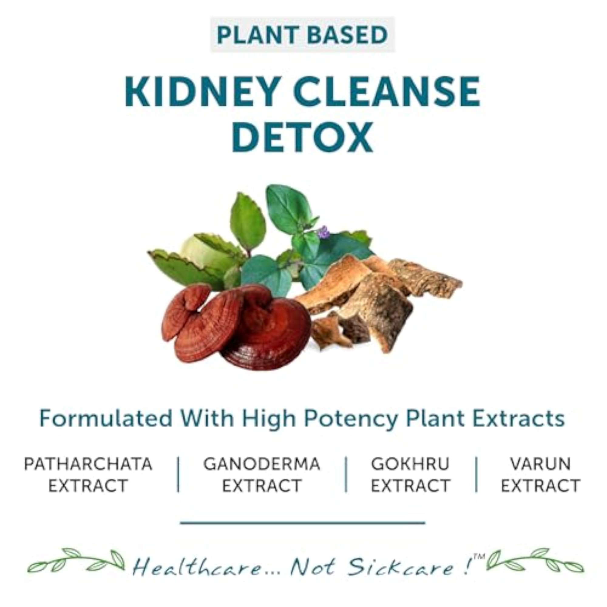 Kidney Detox Supplement, Ayurvedic Health Support